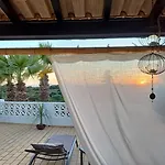 Three Palms