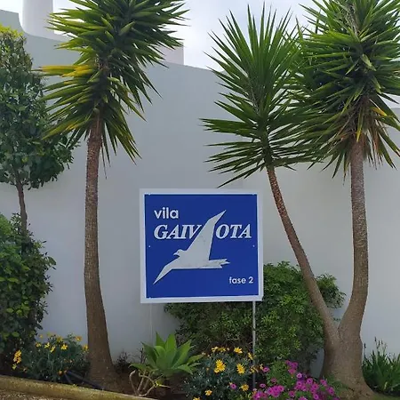 Three Palms * פראגודו