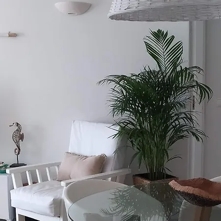 Three Palms *