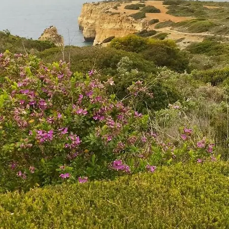 Three Palms * Ferragudo (Faro)