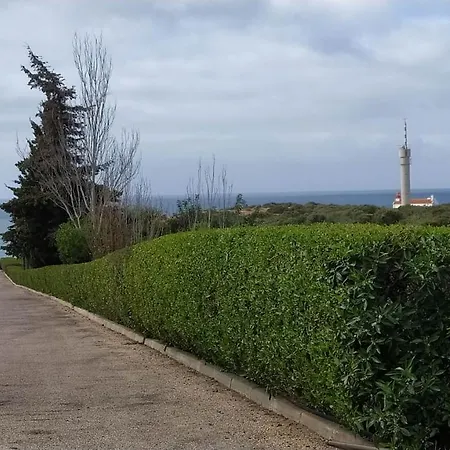 Three Palms דירה *