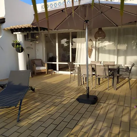 Three Palms * פראגודו
