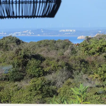 Three Palms Apartment *