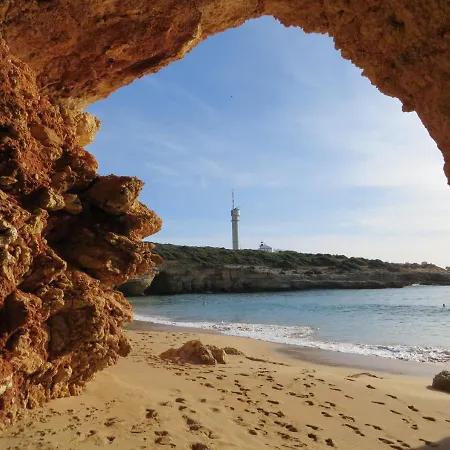 Three Palms
