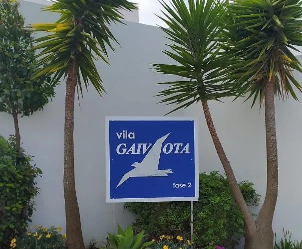 Three Palms * 费拉古多