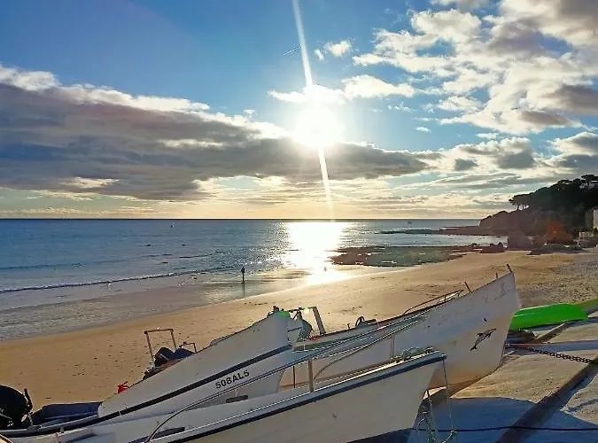 Three Palms 公寓 费拉古多