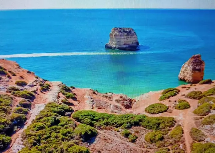 公寓 Three Palms 费拉古多